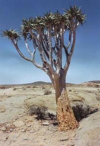 205433_7502038238_153_n