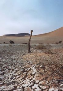 Dried river bed at Sussusvlei