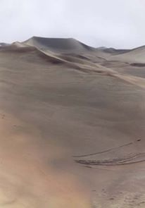 Namib desert near Sossusvlei