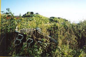 Ruin of Toravaig Castle, Sleat, Isle of Skye