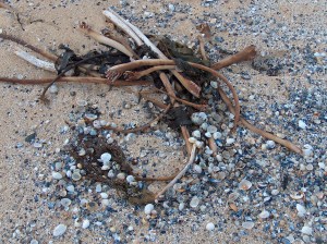 "Design" on the beach, Isle of Harris