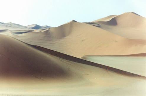 Namib desert