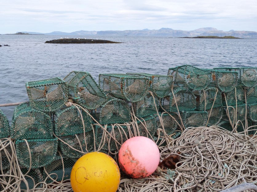 Blick auf Hummerkörbe auf der Isle of Luing in der Nähe von Oban (Schottland)